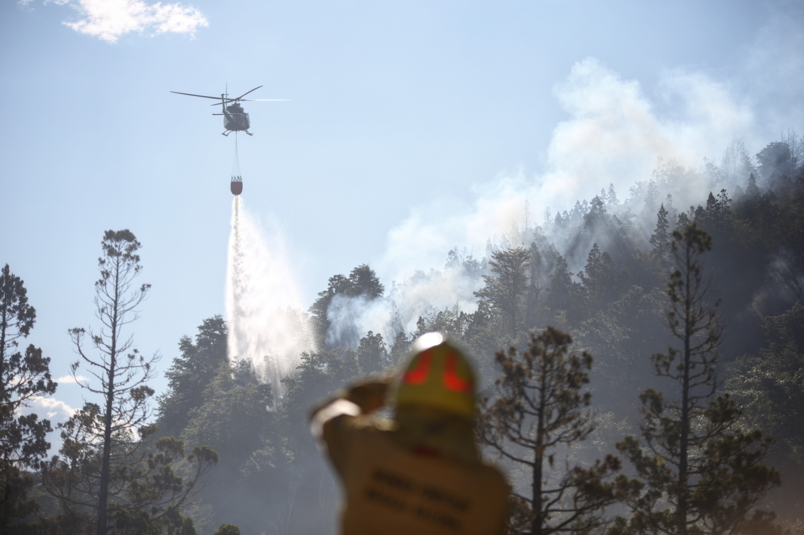 Chubut: Intentan controlar un voraz incendio en el bosque Los Alerces