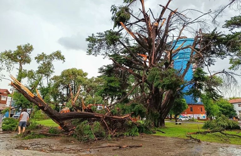 Miramar: Una mujer es la segunda víctima fatal del temporal que azotó a la ciudad balnearia