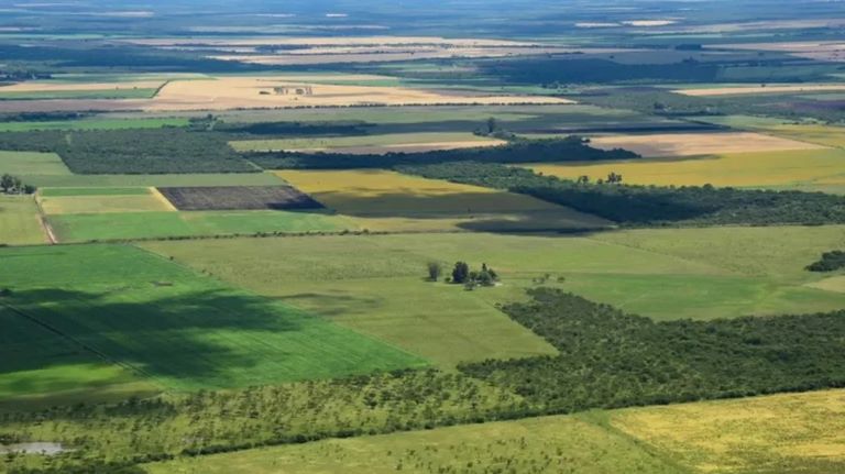 Habilitaron la feria judicial contra el DNU que libera la venta de tierras a extranjeros