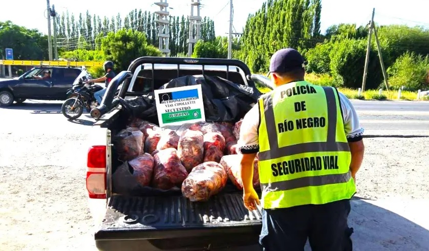 Intentó ingresar carne a Río Negro, huyó y lo atraparon