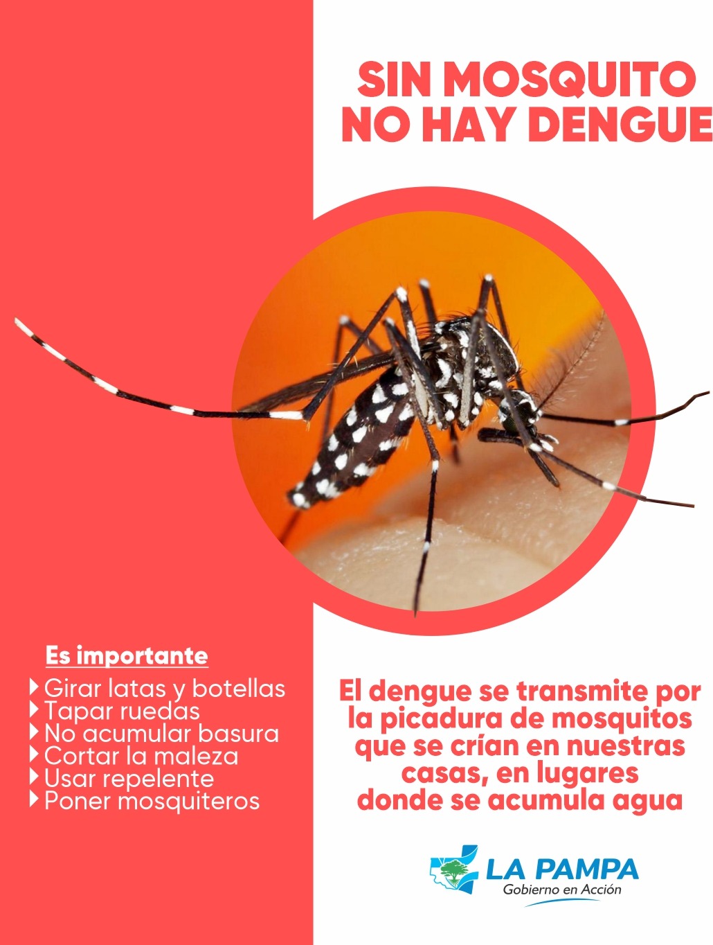 Dengue: Reiteran medidas de prevención ante el primer caso autóctono detectado en Pico