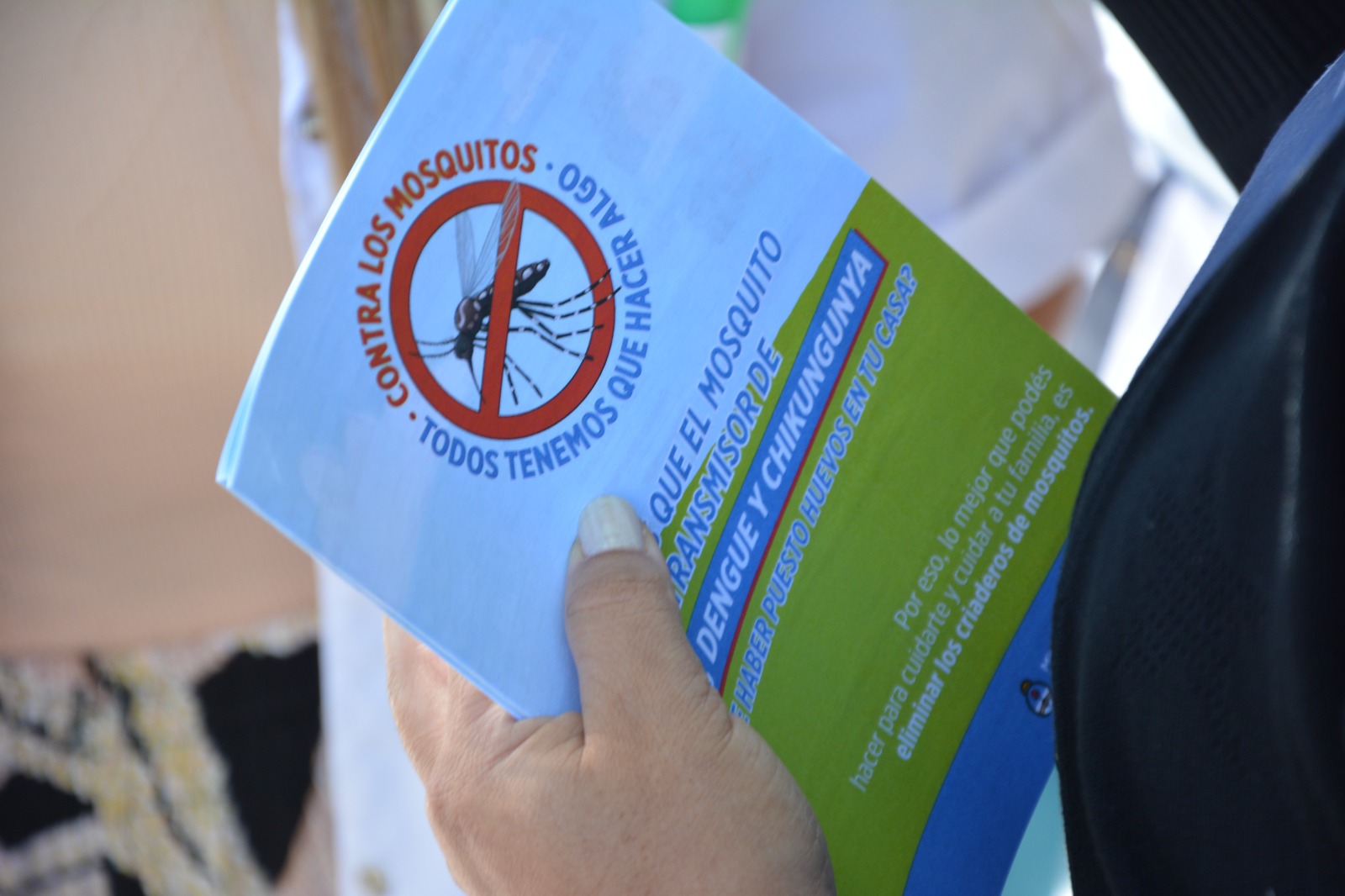 General Pico: Dos nuevos casos autóctonos de dengue