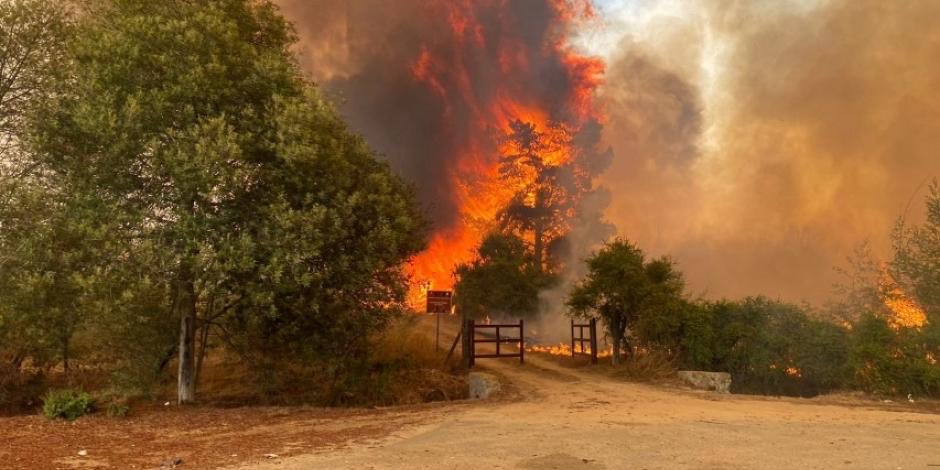 Chile: Confirman al menos 51 muertos por los incendios forestales