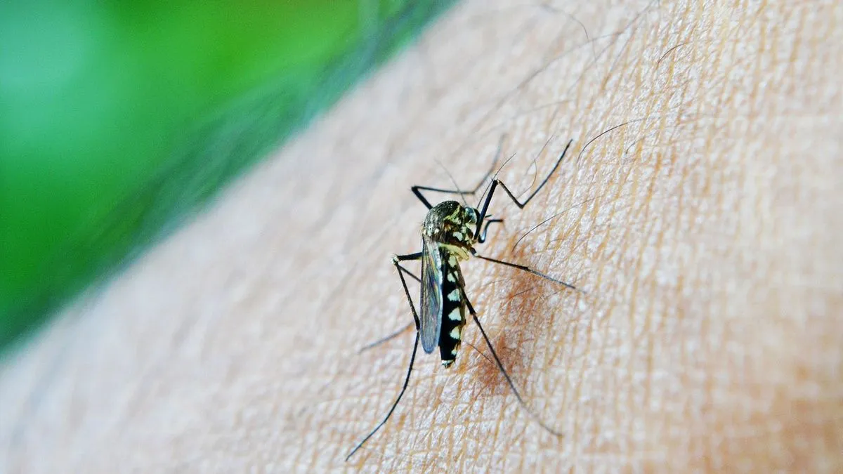 Dengue: Ya son 21 los casos confirmados en La Pampa