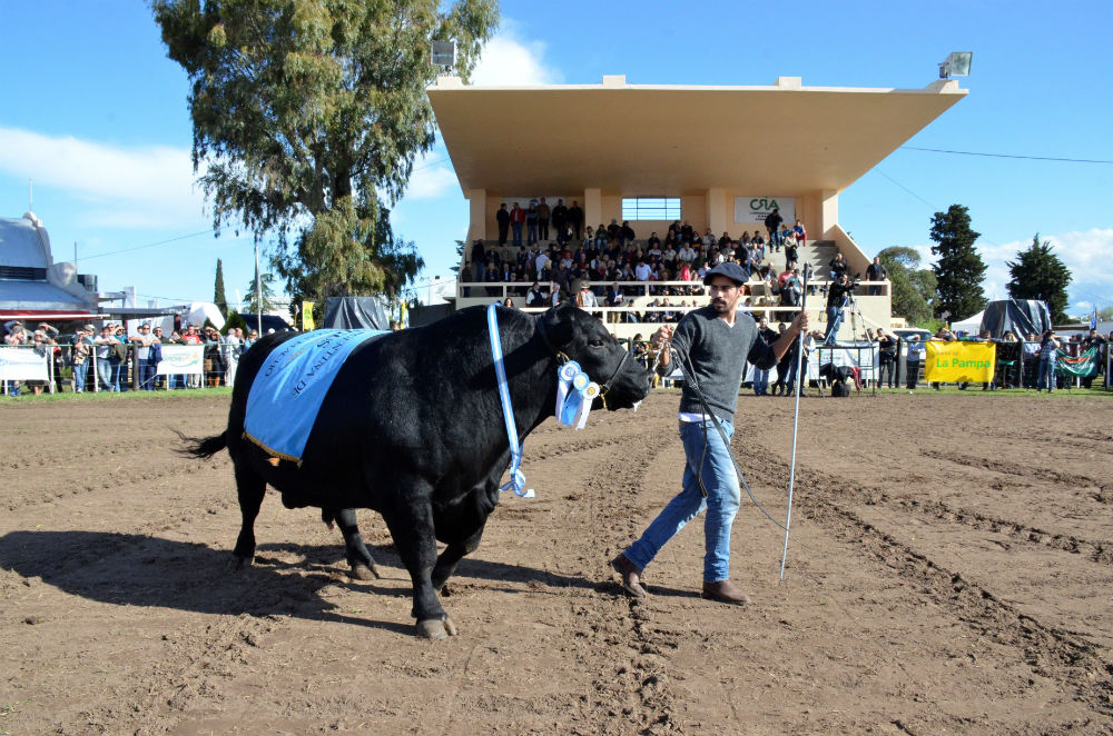 Retenciones: La Agrícola “entusiasmada” con el gobierno provincial