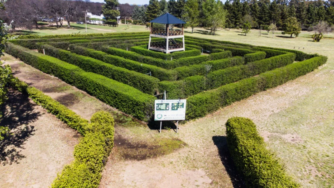 Se abre la venta de plantas producidas en los Viveros Forestales Provinciales