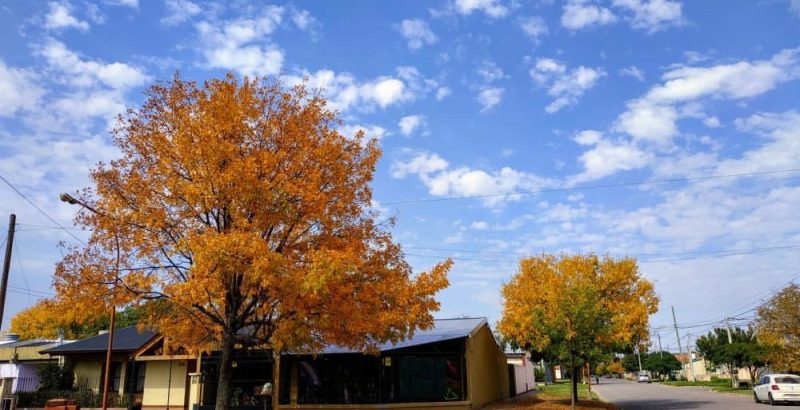 Comienzo de otoño frío en Santa Rosa