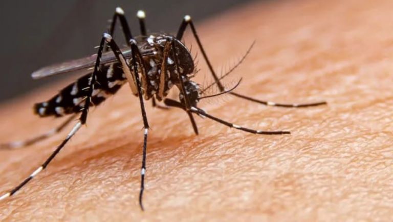 Confirmaron el primer muerto por coinfección de dengue en la Argentina