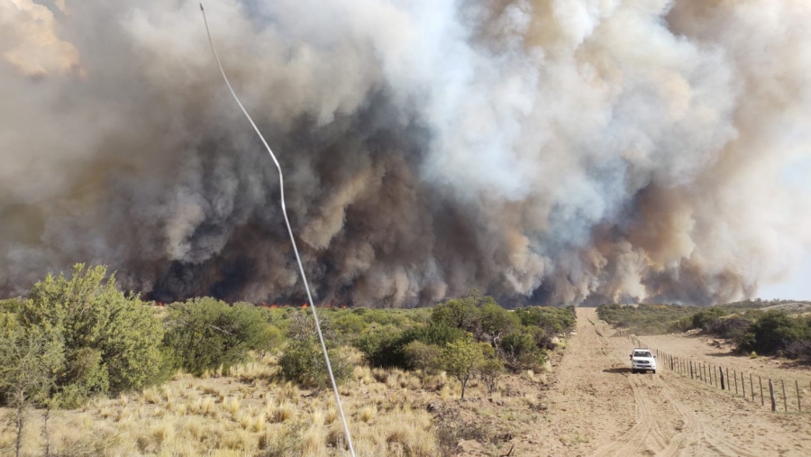 La temporada de incendios 2023-2024 finalizó con 52.766 hectáreas afectadas