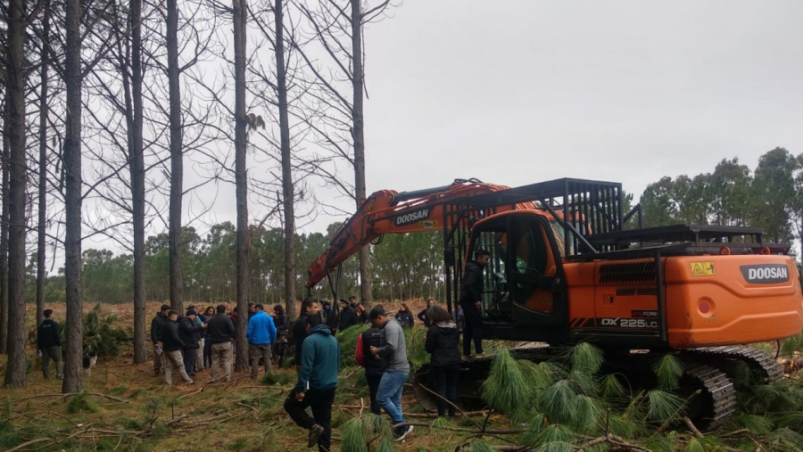 Evaluaron las potencialidad de la producción forestal en La Pampa