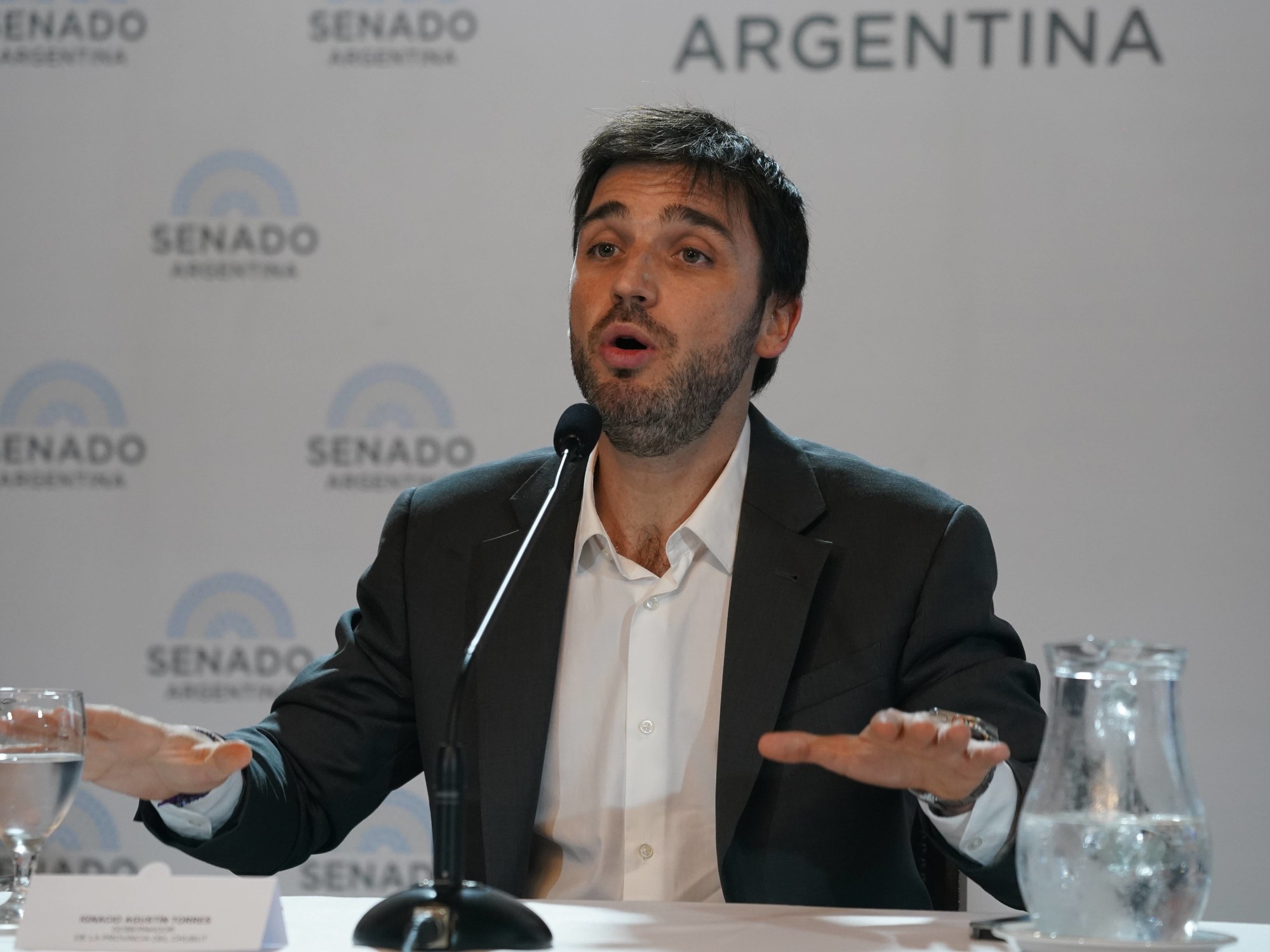 Nacho Torres afirmó que todos los senadores patagónicos votan en contra de la restitución de Ganancias