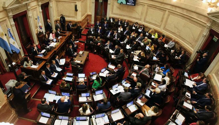 El Senado inicia el tratamiento de la Ley Bases