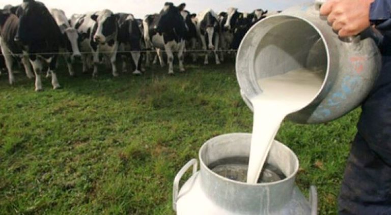 Advierten que la producción de leche es la más baja de los últimos cinco años