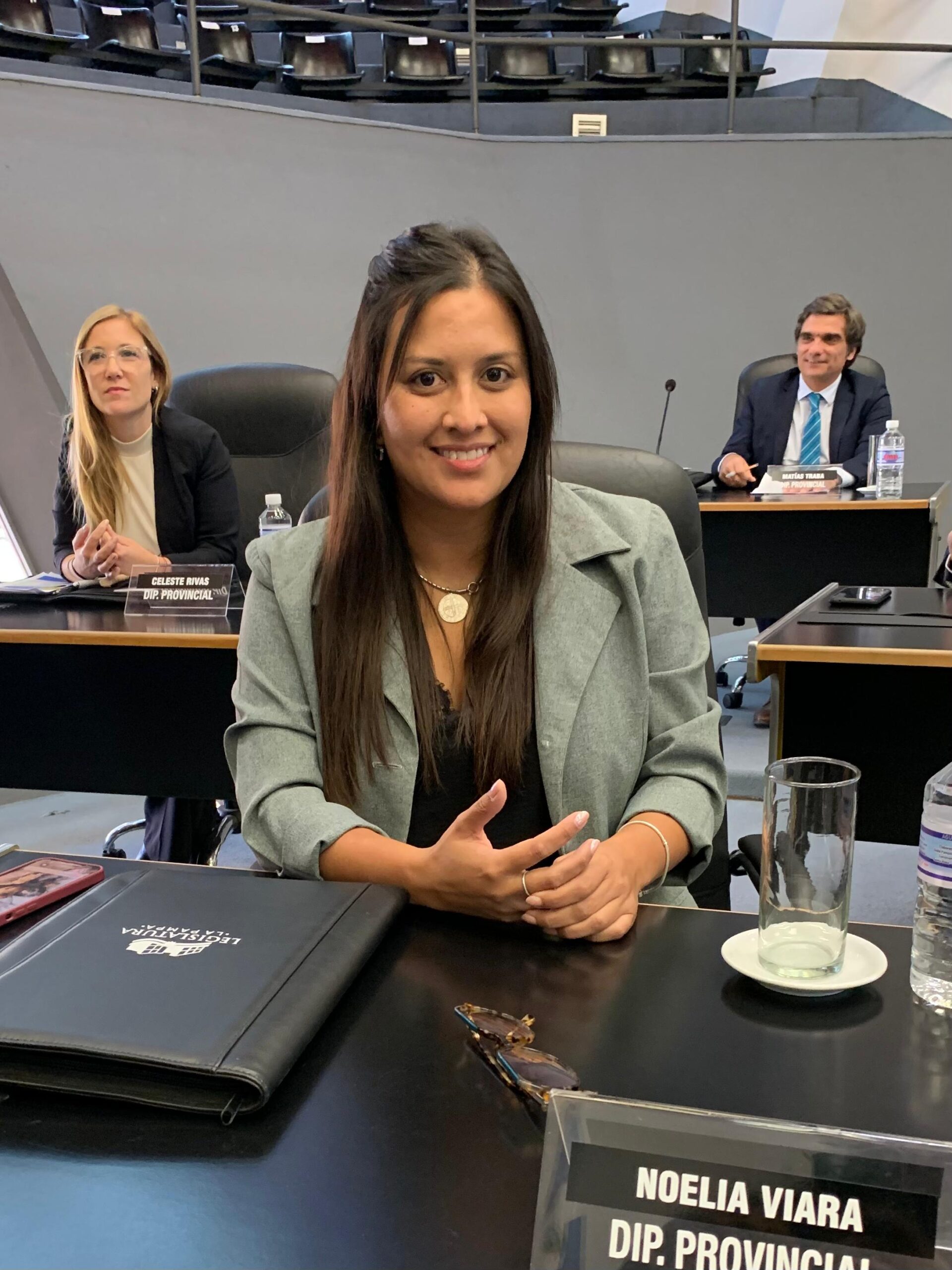 Viara presentó la Ley de Empleo Joven en la Legislatura Provincial