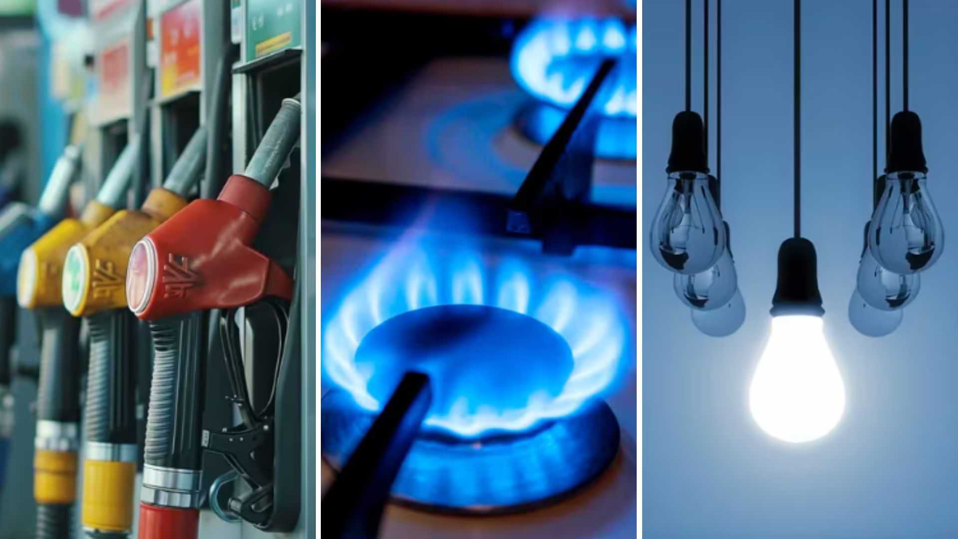 El gobierno postergó los aumentos de los combustibles, del gas y la luz