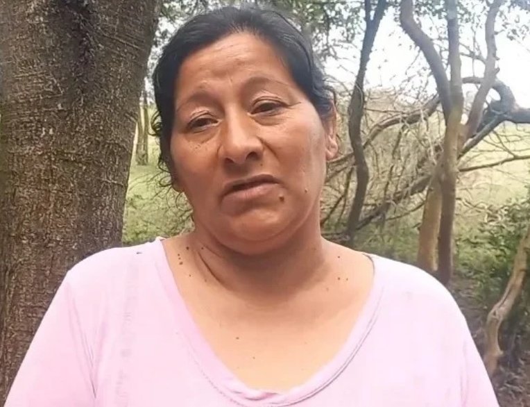 Caso Loan: La tía Laudelina declaró y se encuentra desaparecida