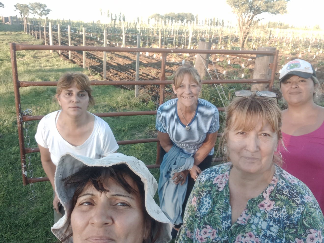 Vinos Pichi Huinca: Las mujeres emprendedoras pasaron de 200 plantas a 12.000