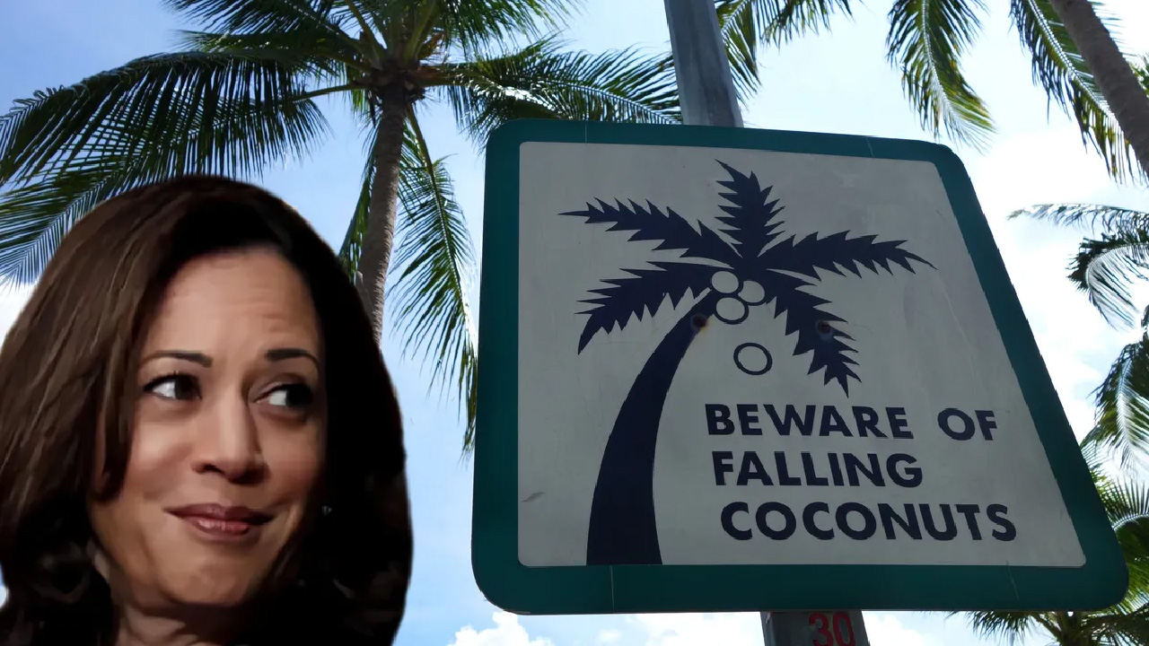 Kamala Harris, la candidata caída de un cocotero