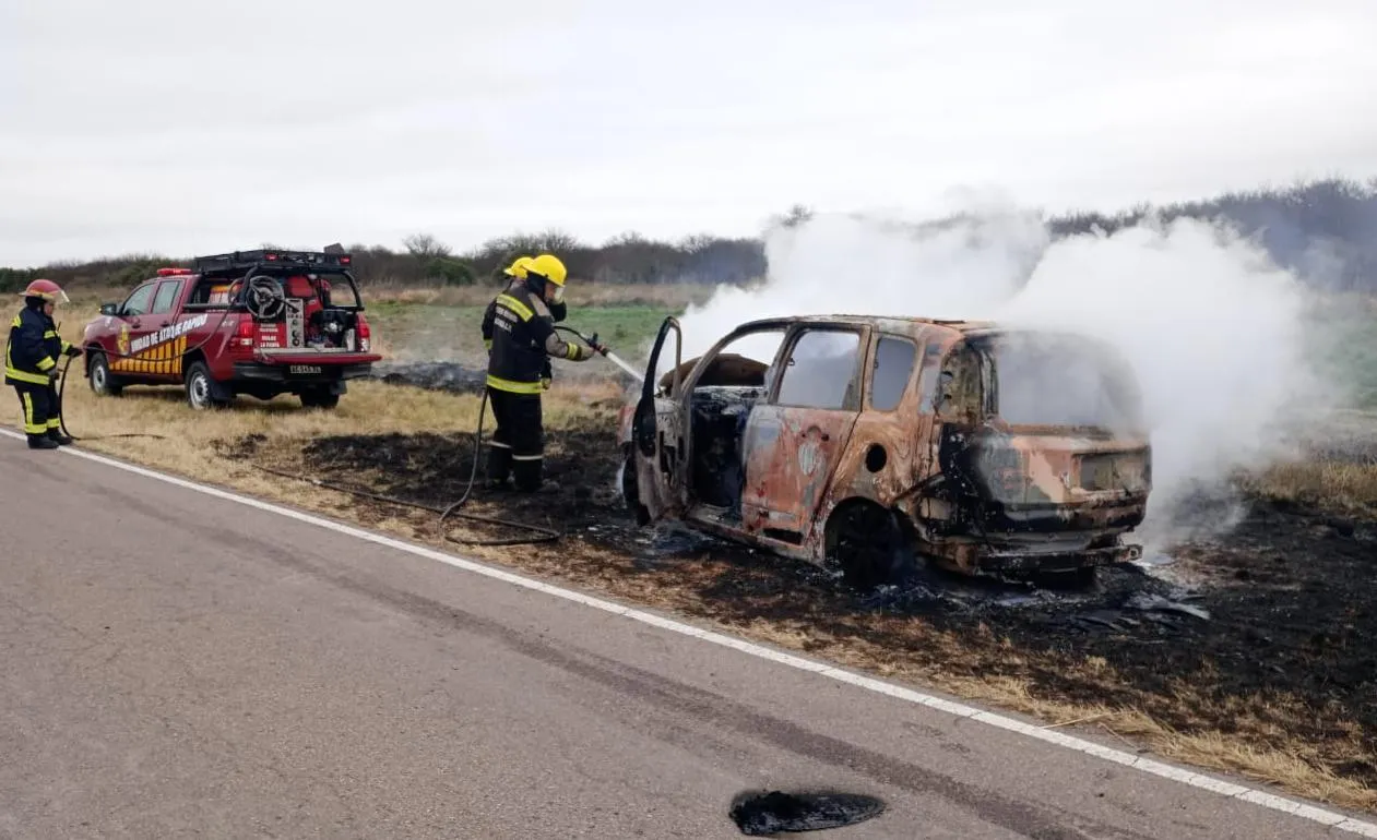 Chocó contra un jabalí y se le incendió el auto