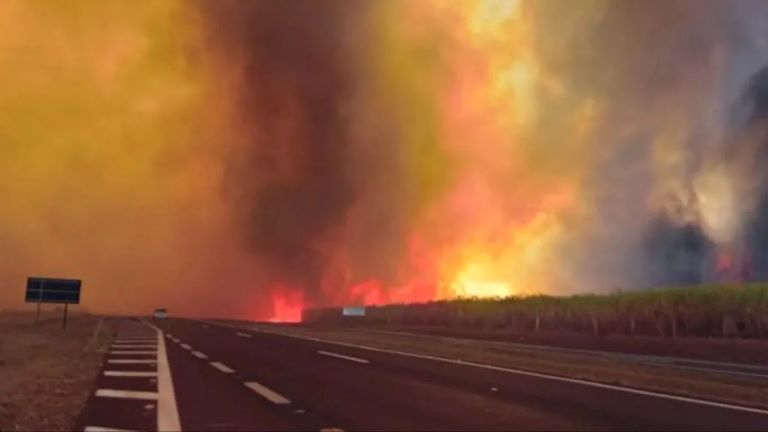 Brasil: Lula denuncia que son intencionales los incendios de pastizales en el estado de Sao Paulo y otras regiones