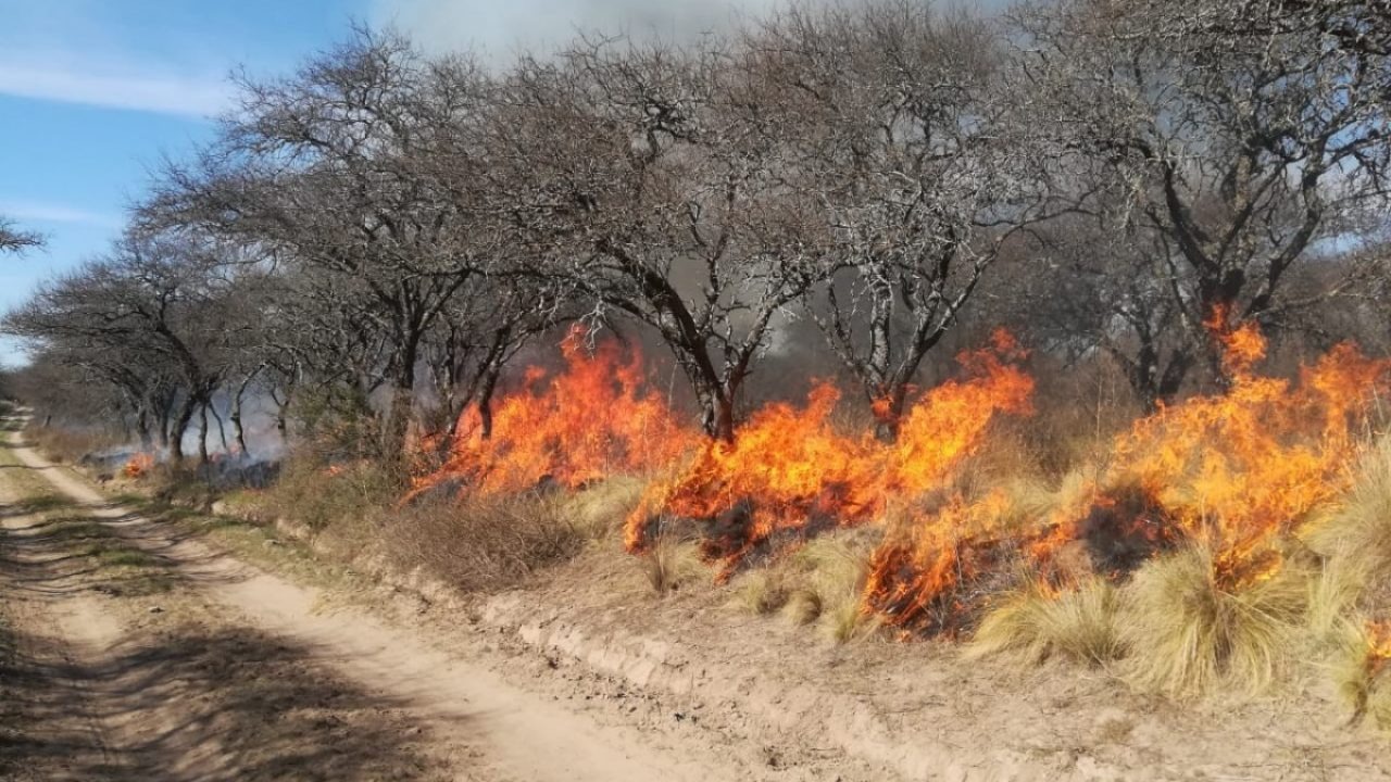 Últimos días para presentar solicitudes de quema de bosque