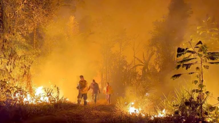 Bolivia: Importantes incendios forestales ¿hay riesgo de que lleguen a la Argentina?