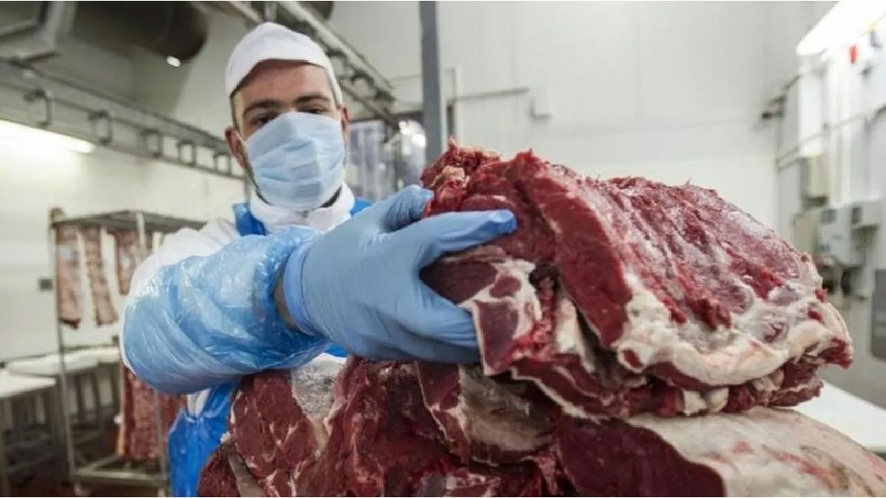 Los dueños de la carne: quiénes son los principales frigoríficos de Argentina y cuánto faenaron hasta agosto