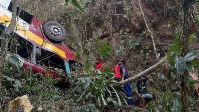 Brasil: Al menos 17 muertos al caer un autobús a un precipicio