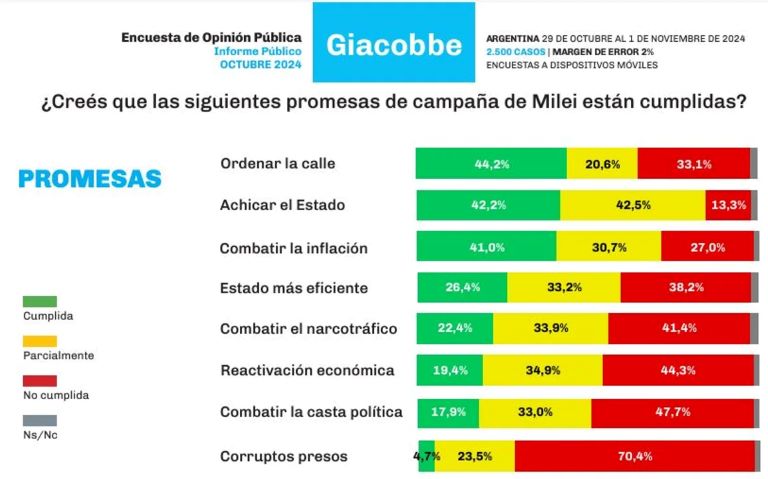 Los mayores incumplimientos de Milei, según una encuesta: Estado eficiente, reactivación, combatir narcos, casta y corruptos