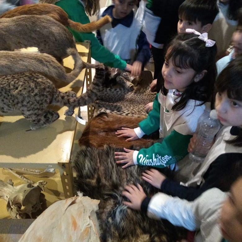 Más de 15 mil personas visitaron el Museo Provincial de Historia Natural