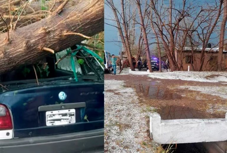 Mendoza: Un joven murió aplastado por un árbol al intentar proteger su auto del granizo