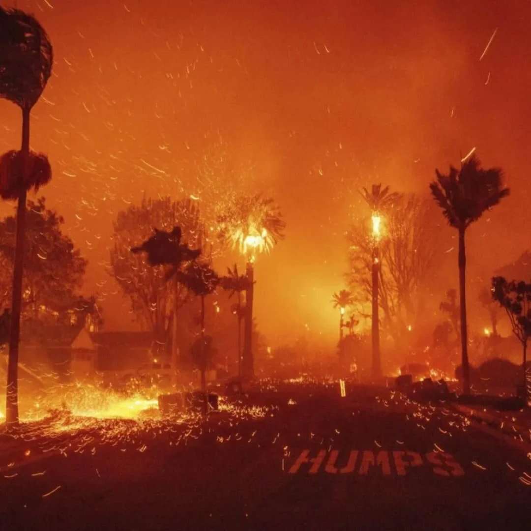 EEUU: Ya son 24 los muertos por incendios forestales en Los Ángeles