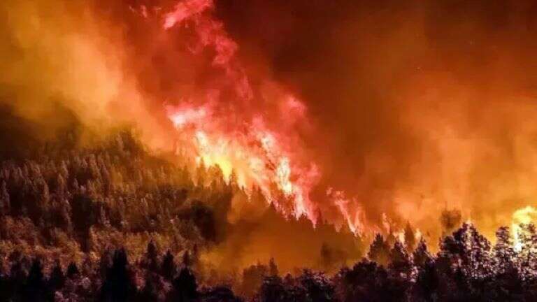 Río Negro: Con 7.000 hectáreas consumidas por el fuego, el Parque Nahuel Huapi continúa con incendios