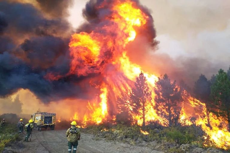 Incendios en Argentina: Más de 250 mil hectáreas en Corrientes y siguen las llamas en El Bolsón y Nahuel Huapi