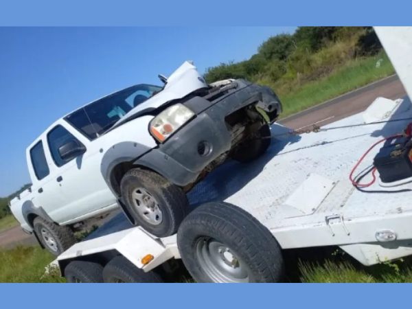 Realizaban una mudanza y chocaron con un caballo en medio de la noche