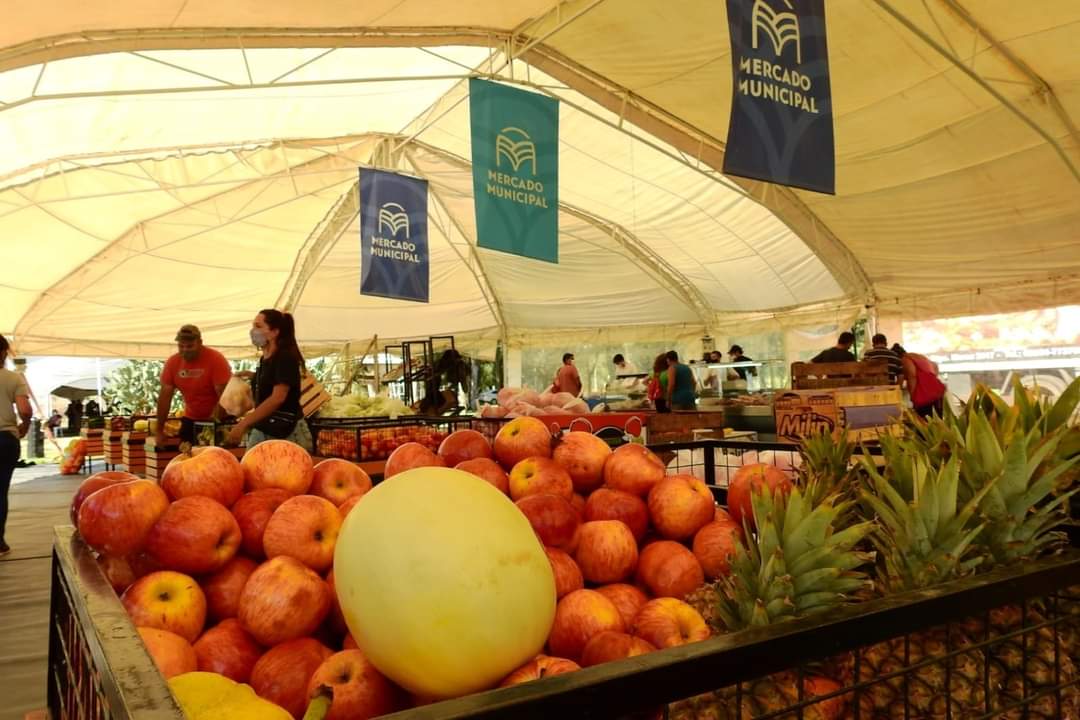 Santa Rosa: Este sábado 15 vuelve el Mercado Municipal