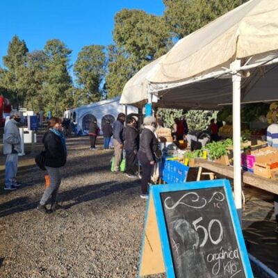 A precios mayoristas: ofertas imperdibles en el Mercado Municipal