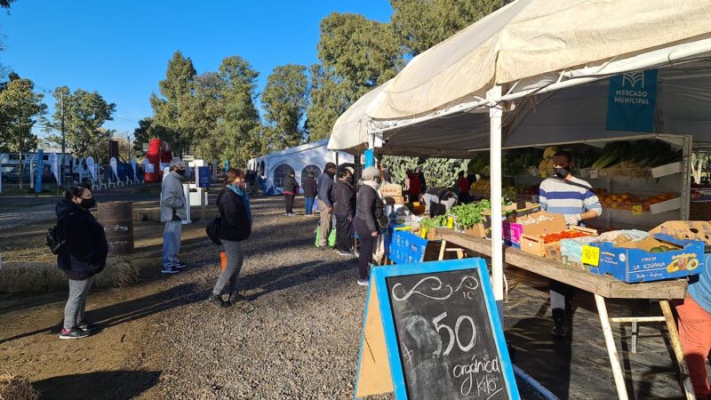 A precios mayoristas: ofertas imperdibles en el Mercado Municipal