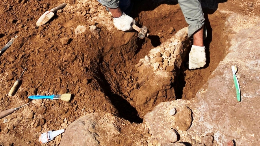 Descubrimiento paleontológico en Macachín: Rescatan fósiles en la laguna del Bajo Atreucó