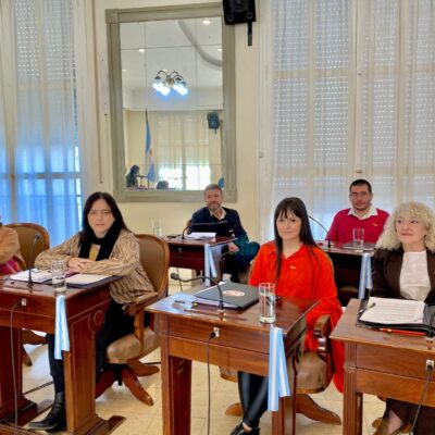 Estructura de costos de los servicios: “Di Nápoli cedió a uno de sus caprichos”