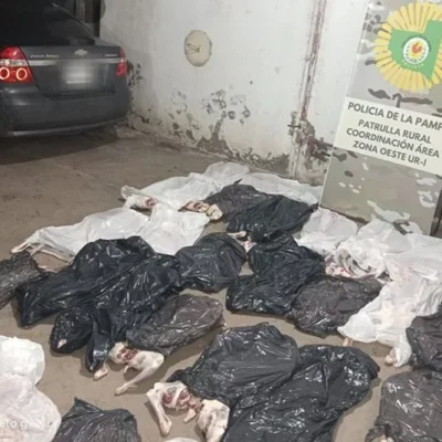 Decomisan en La Pampa más de 30 chivos faenados sin habilitación ni cadena de frío