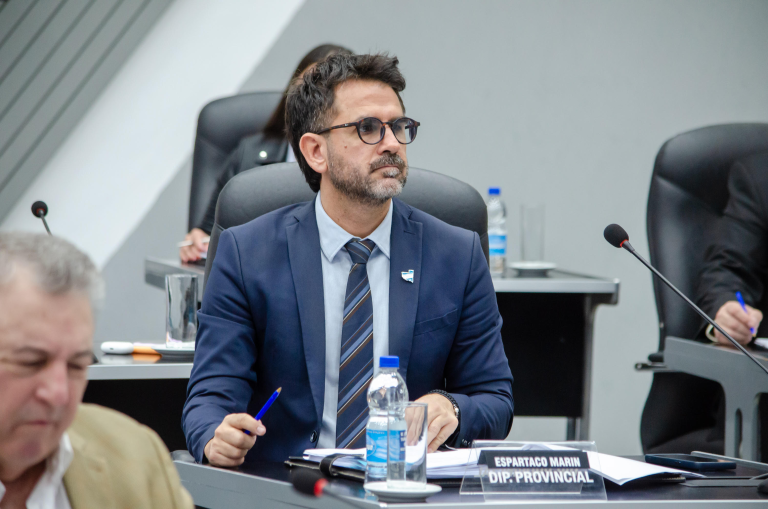 Los diputados provinciales hicieron un reclamo unificado para que sumen a la Provincia al diálogo por la barrera sanitaria