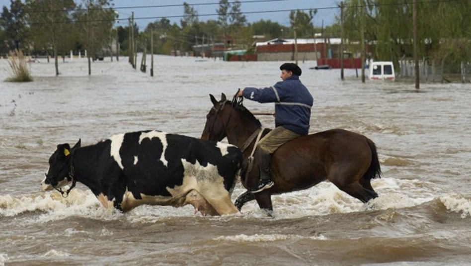 Inundaciones en Buenos Aires: fuerte reclamo del agro por la falta de obras