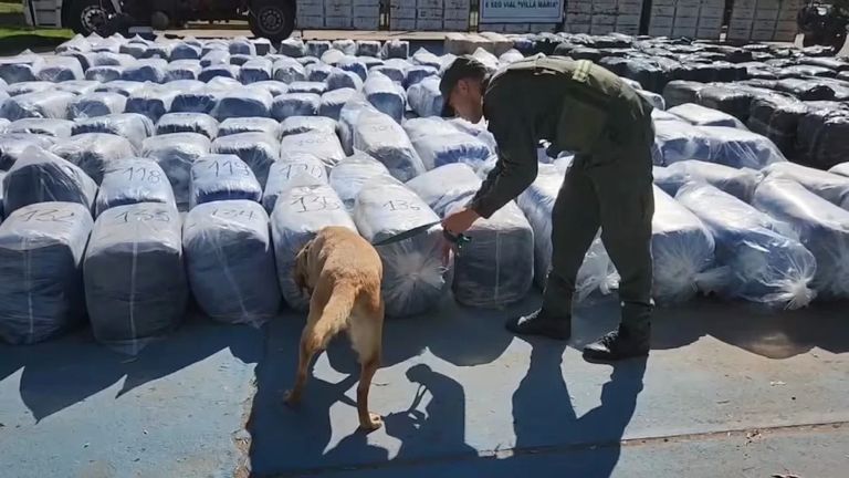 Córdoba: millonario golpe al narcotráfico al incautar 7 mil kilos de hojas de coca