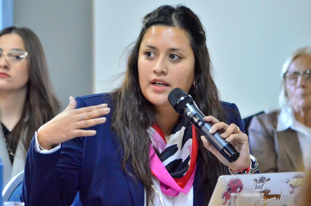 La oposición impulsa la adhesión a la Ley Antimafias en la provincia