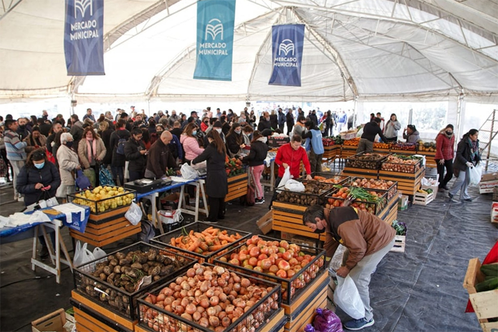 Este sábado abre el Mercado Municipal en Santa Rosa con ofertas varias
