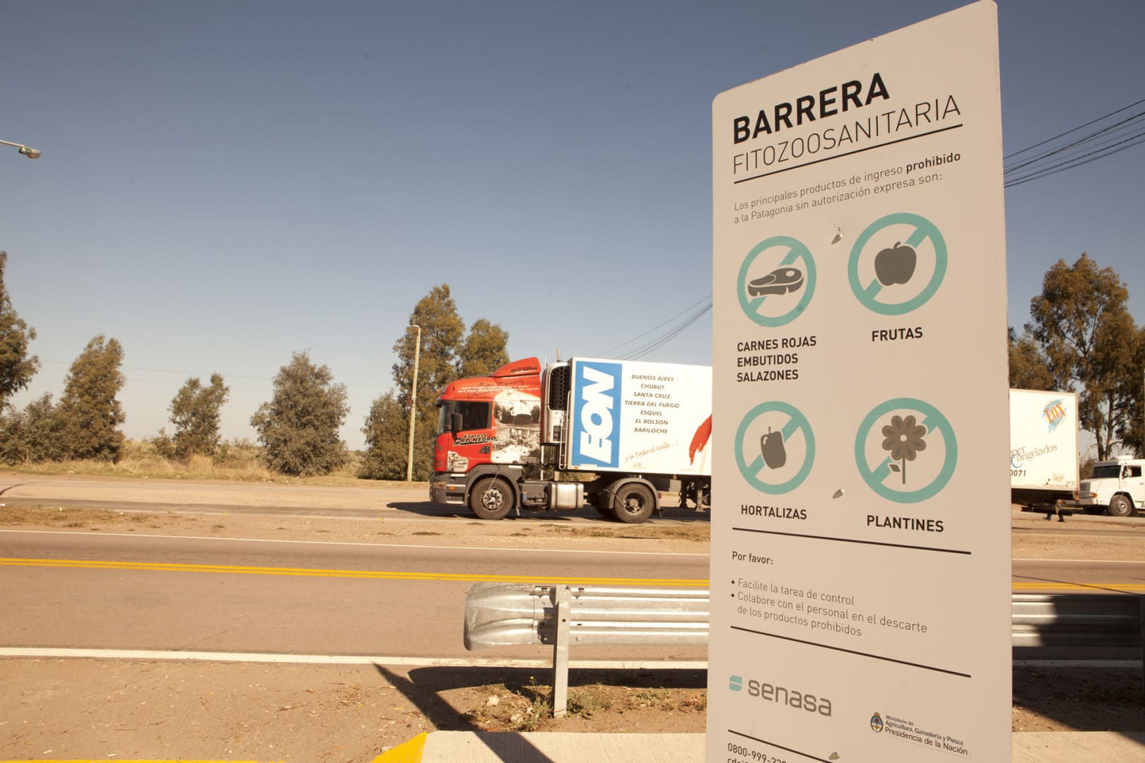Histórico: habilitan ingreso de carne con hueso plano a la Patagonia bajo estricto control sanitario