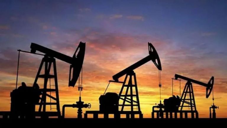 La Secretaría de Energía y Minería salió a aclarar los objetivos que se persiguen para la concesión del área “El Medanito”