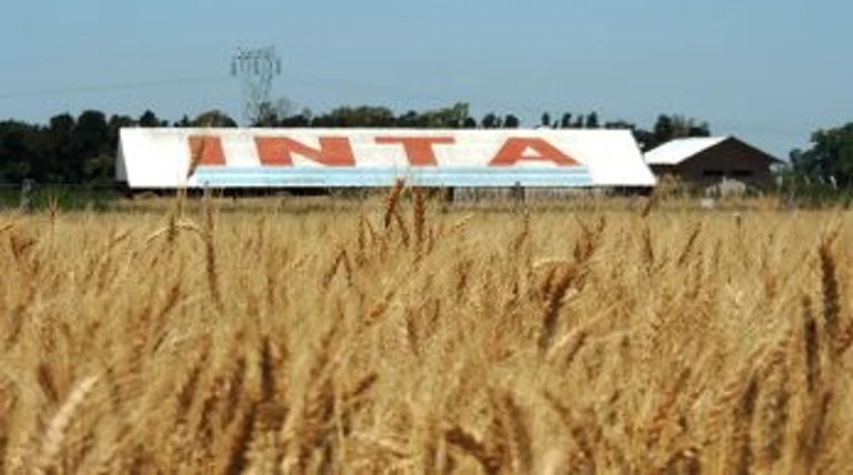 Ante posible reforma, el campo reclamó al Gobierno que el INTA mantenga su autarquía, gobernanza y estructura