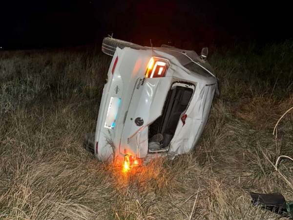 Un hombre chocó un jabalí sobre la RN 188 y volcó